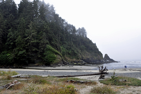 the beach by Heceta Head Lighthouse